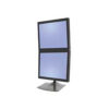 Computer System – Max - dual monitor setup